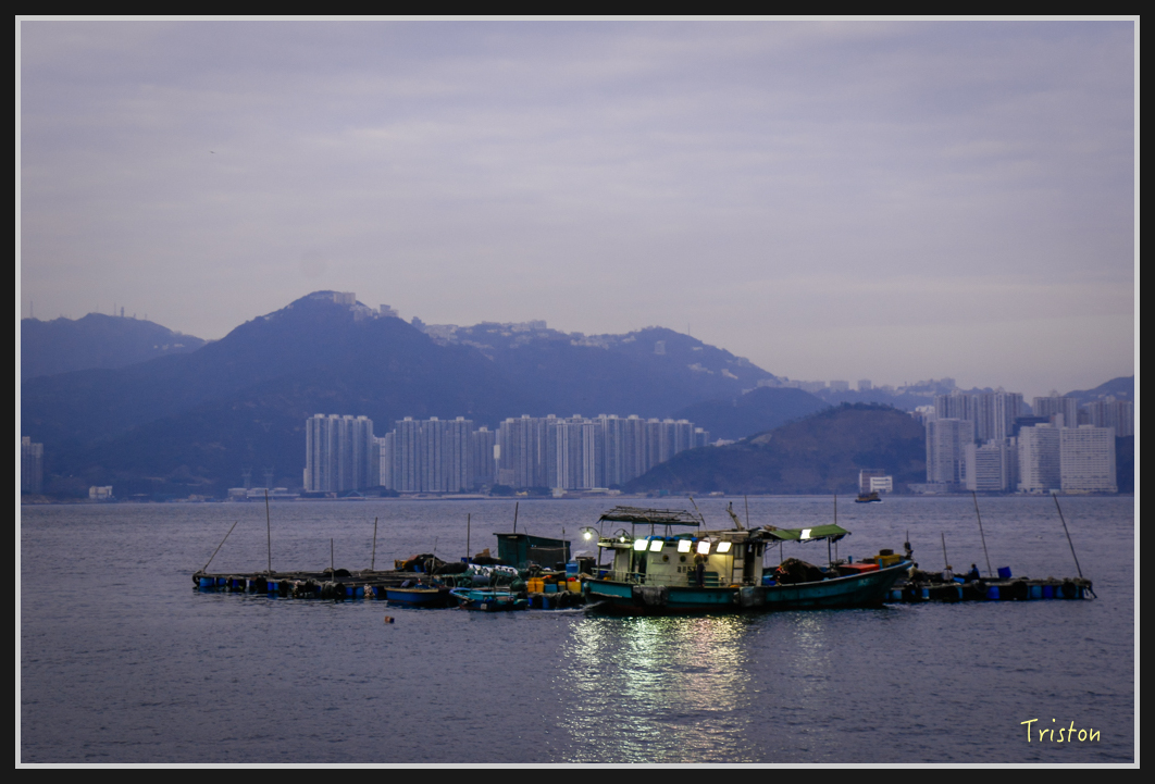 0073.jpg - 20170107 香港健行