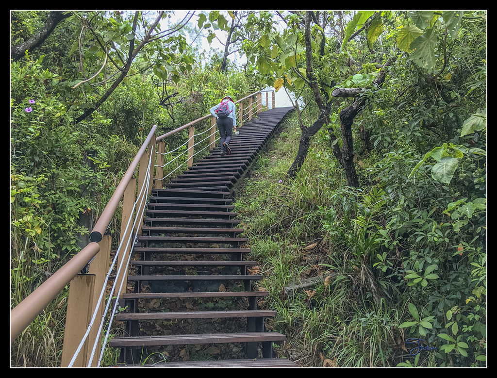 IMG_2791.jpg - 20170422 左營龜山步道、舊城