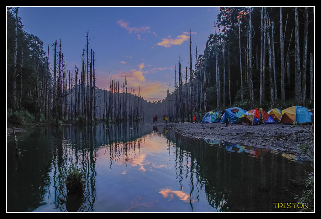 _MG_0178.jpg - 20170723 水漾森林