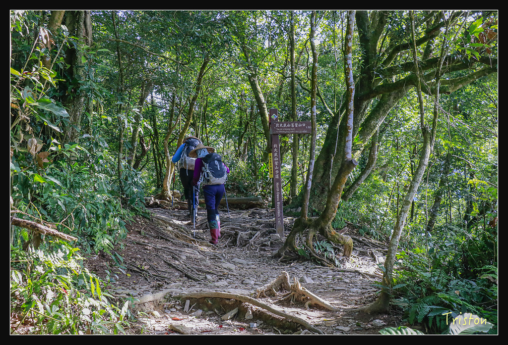 _MG_1030.jpg - 20180127 日湯真山