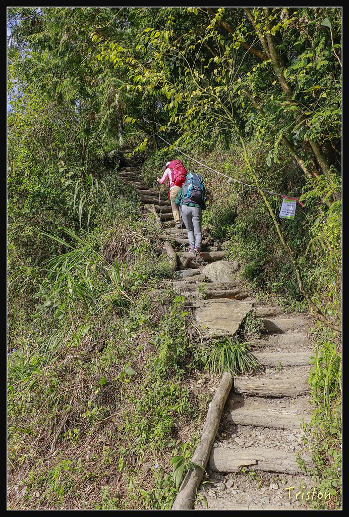 _MG_1007.jpg - 20180127 日湯真山