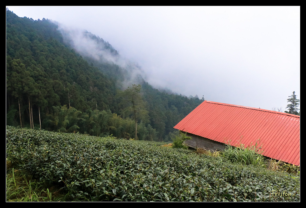 IMG_8366.jpg - 20150926 大凍山切霹靂山 抵龍雲山莊