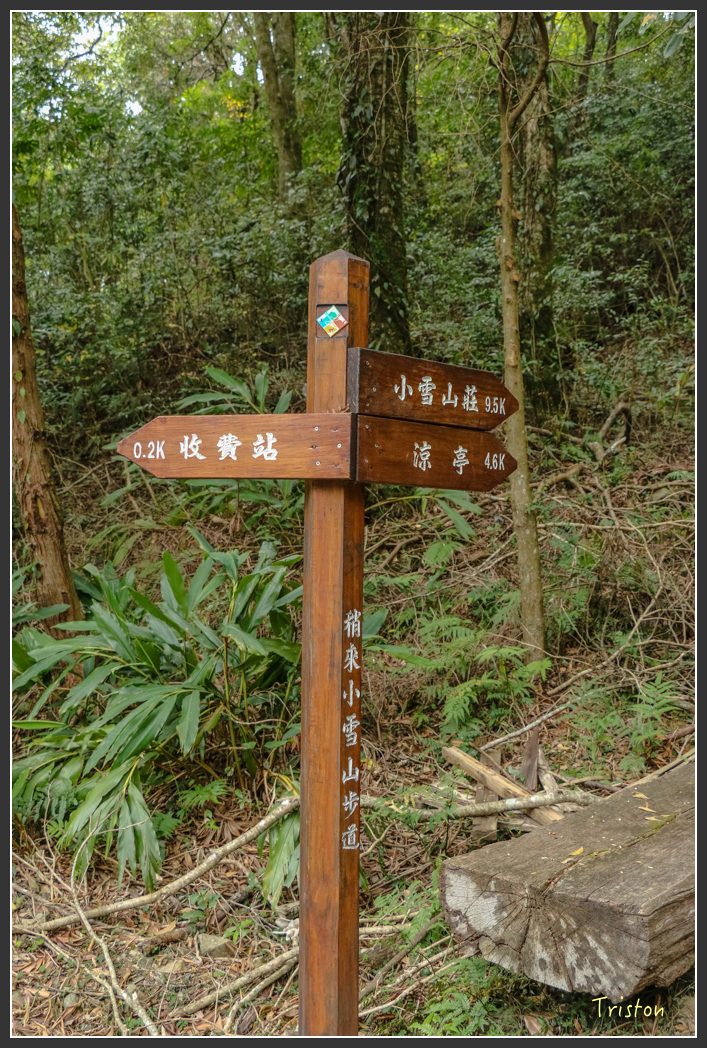IMG_1207.jpg - 20151219 鳶嘴稍來山、小雪山林道