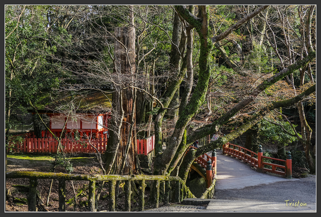 IMG_4118.jpg - 20160323 日本熊野古道健行