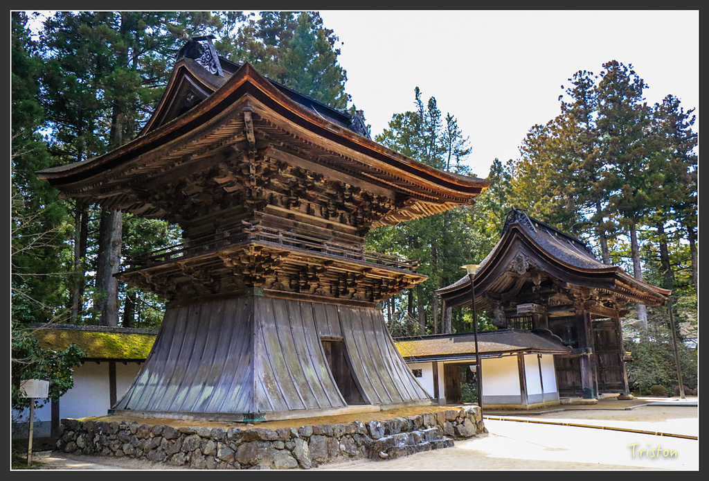 IMG_4517.jpg - 20160323 日本熊野古道健行