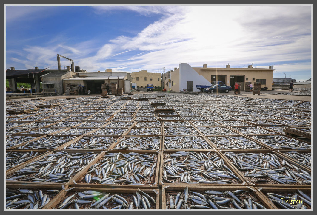 JH1A1129.jpg - 20160701 澎湖