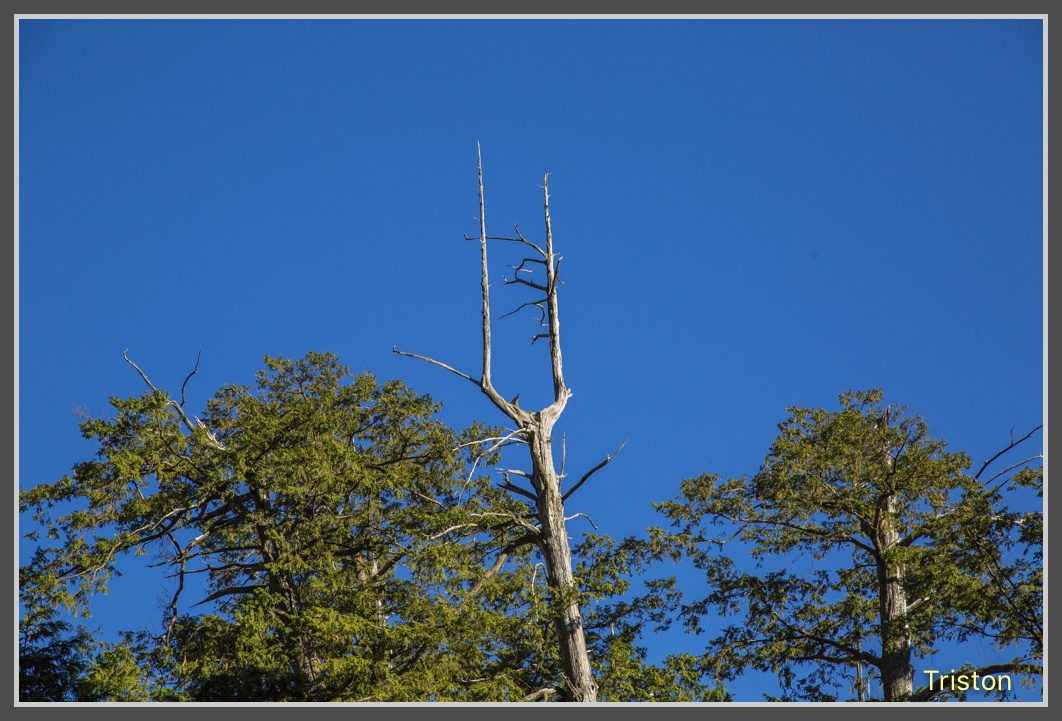 JH1A0255.jpg - 20161105 大雪山