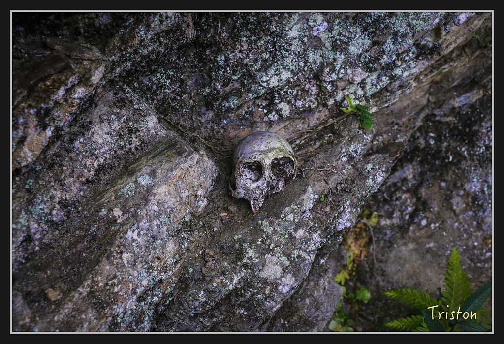 2017-02-27 10.03.53 下午 _MG_0430.jpg - 20170225 玉里瓦拉米