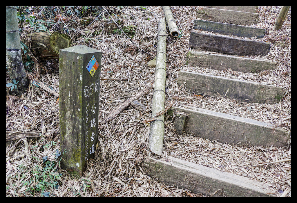 _MG_0020.jpg - 20170408 瑞太古道