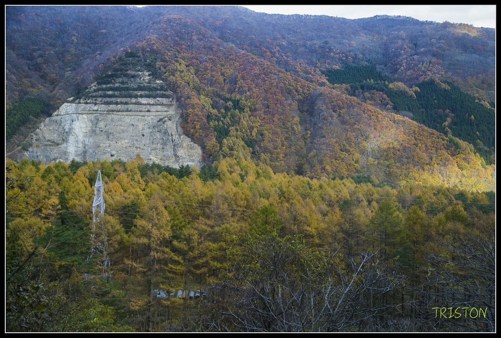 _H1A1412.jpg - 20171103 日本只見線、會津若松五色沼、昭和記念公園賞紅葉