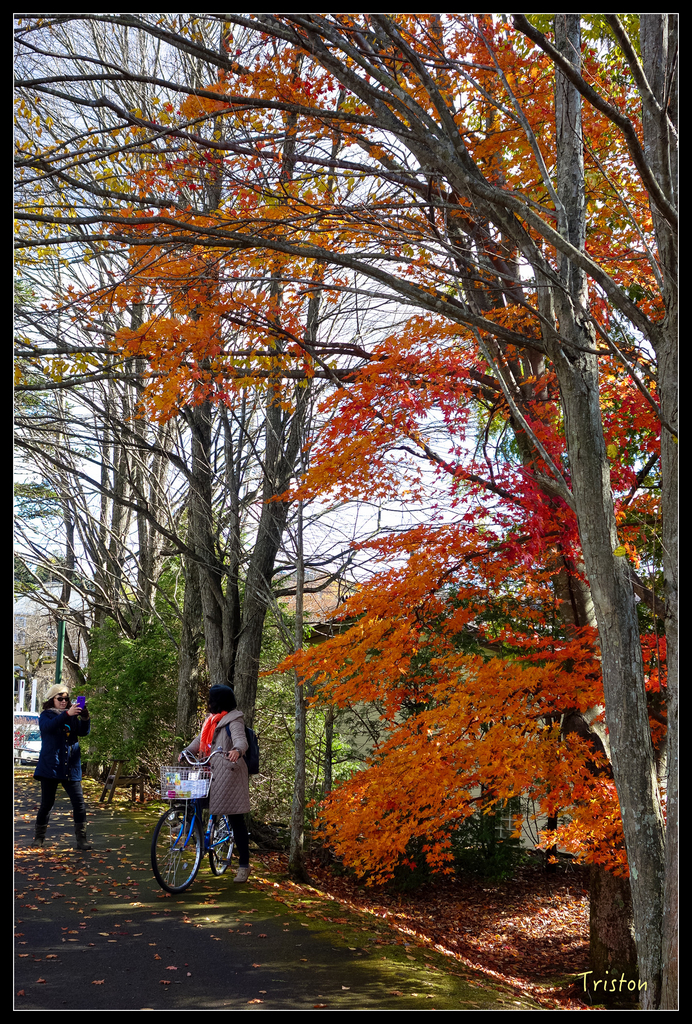 DSC00324.jpg - 20151031 秋天的童話-貴婦東京輕井澤紀行