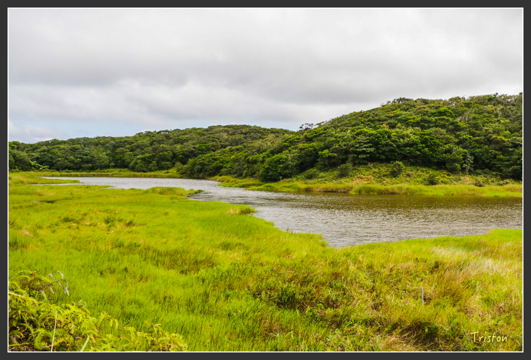 IMG_1493-2.jpg - 20160122 南仁湖、墾丁