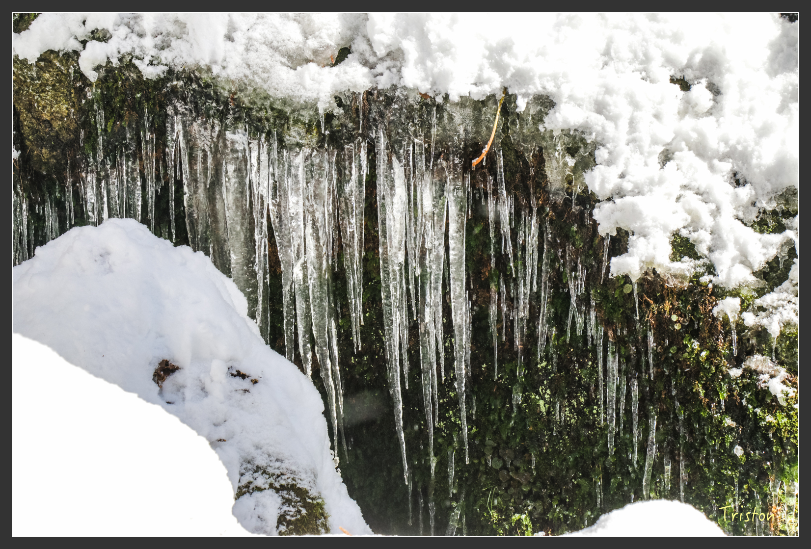 2016ZAO-00671.jpg - 20160131 日本藏王溫泉滑雪親子行