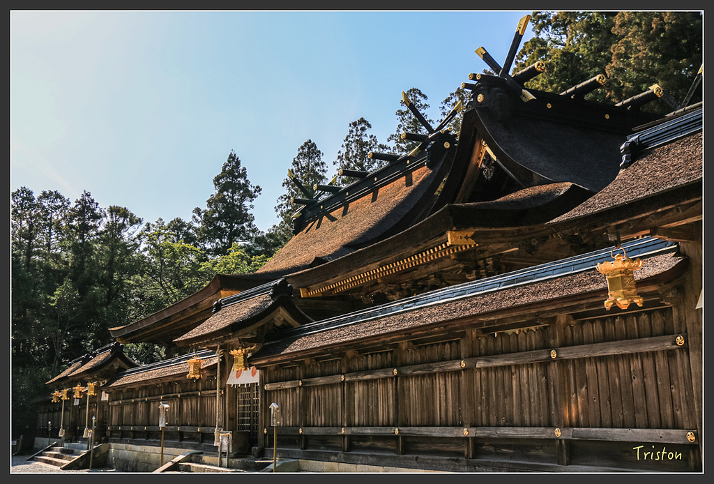 IMG_4914.jpg - 20160323 日本熊野古道健行