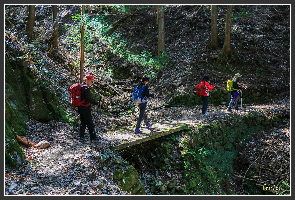IMG_5063.jpg - 20160323 日本熊野古道健行