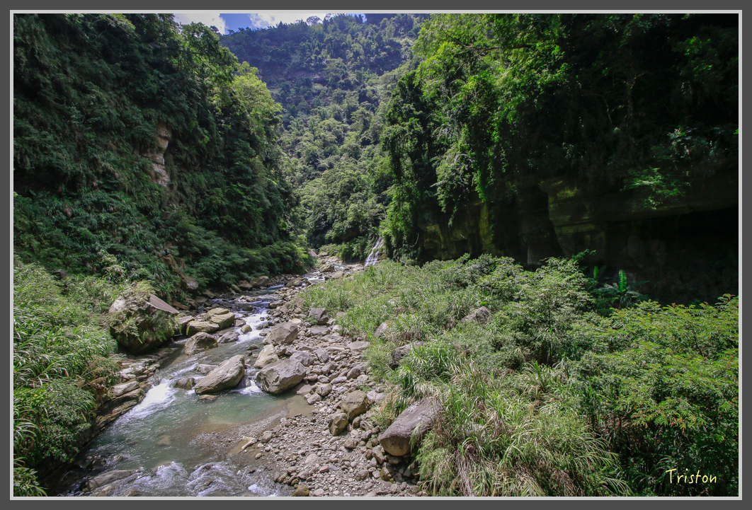 _MG_9174.jpg - 20160716 青年嶺步道