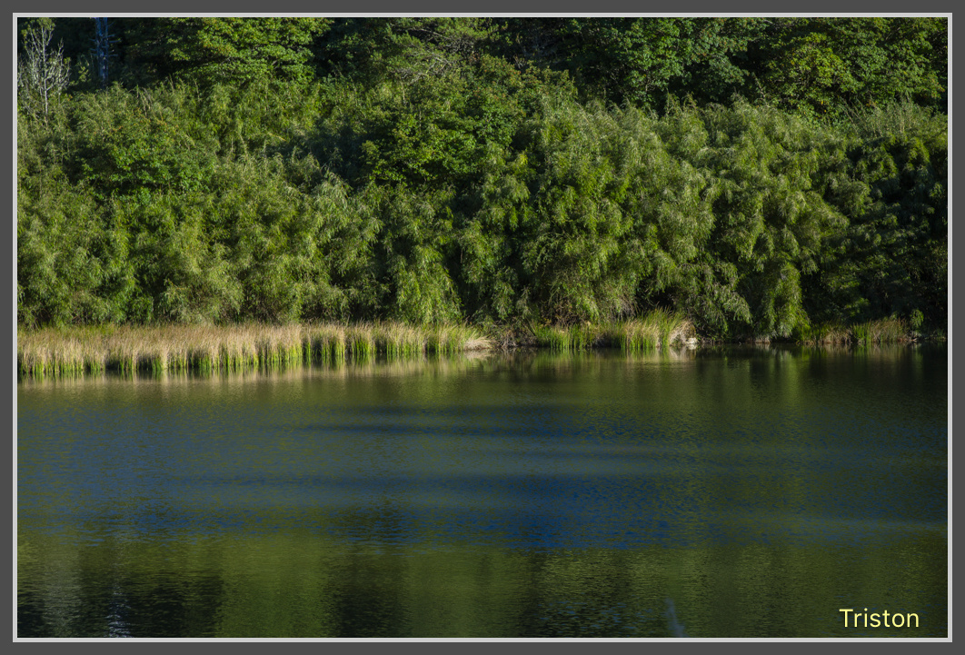 JH1A0260.jpg - 20161105 大雪山