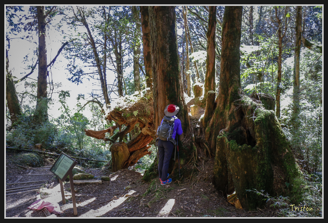_MG_0062.jpg - 20161226 大塔山