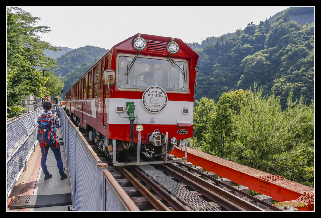 _MG_0514.jpg - 20170702 靜岡東海道之旅