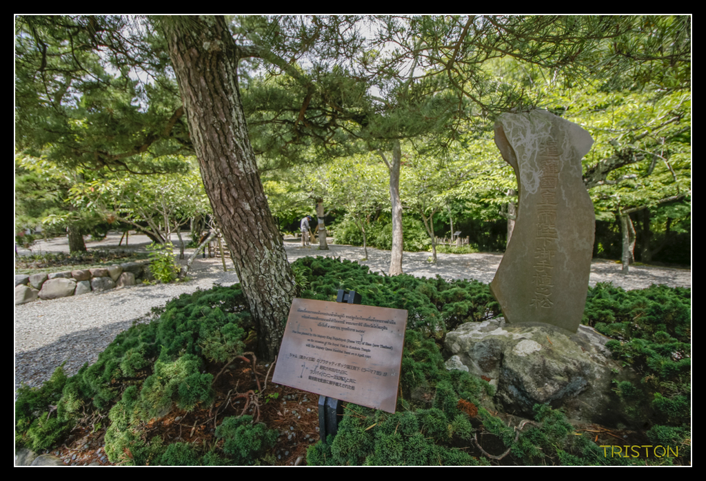 _MG_1437.jpg - 20170702 靜岡東海道之旅