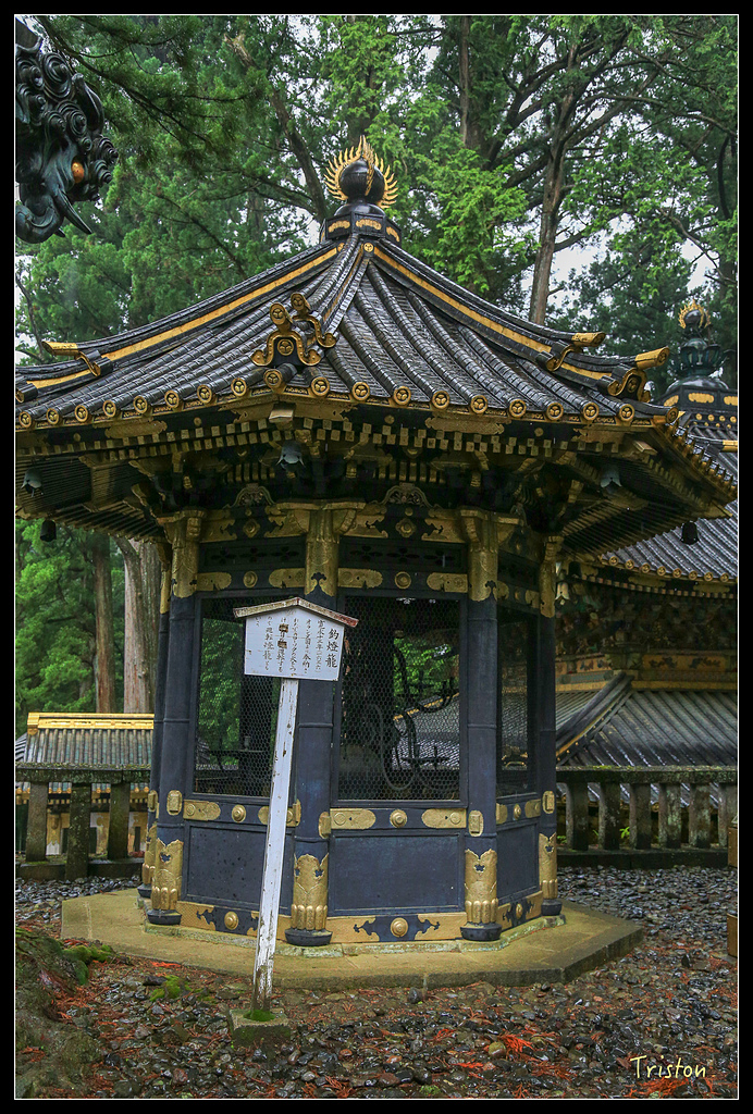 JH1A9979.jpg - 20150628 東京輕井澤日光