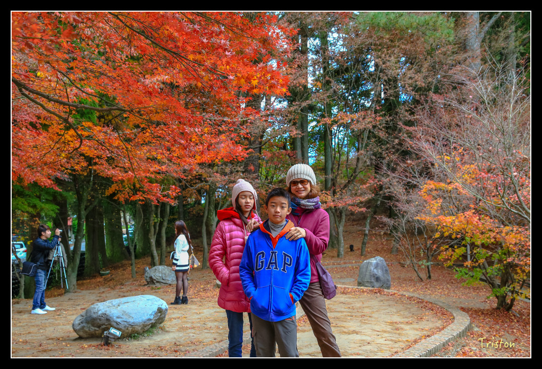 JH1A0929.jpg - 20151205 合歡溪步道、108K楓之谷