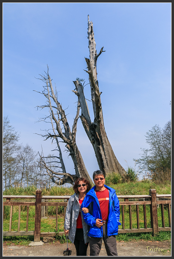 IMG_6219.jpg - 20160402 鹿林麟趾東埔山