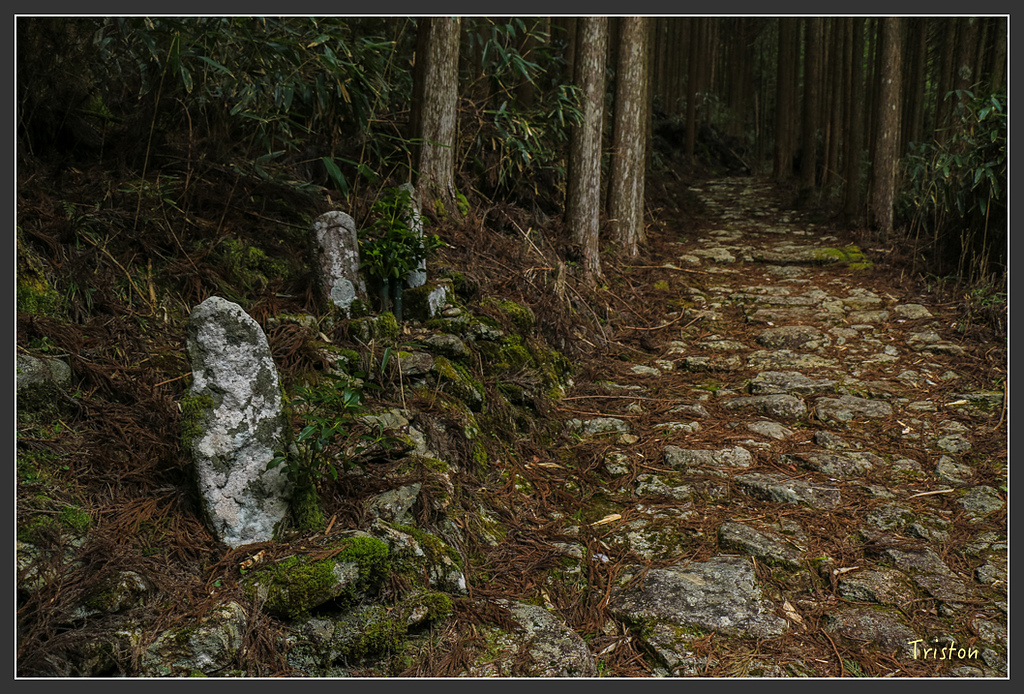 IMG_5508.jpg - 20160323 日本熊野古道健行