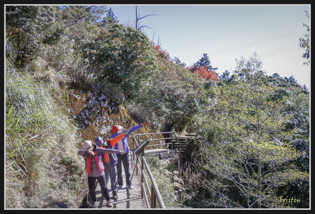 _MG_0085.jpg - 20161226 大塔山