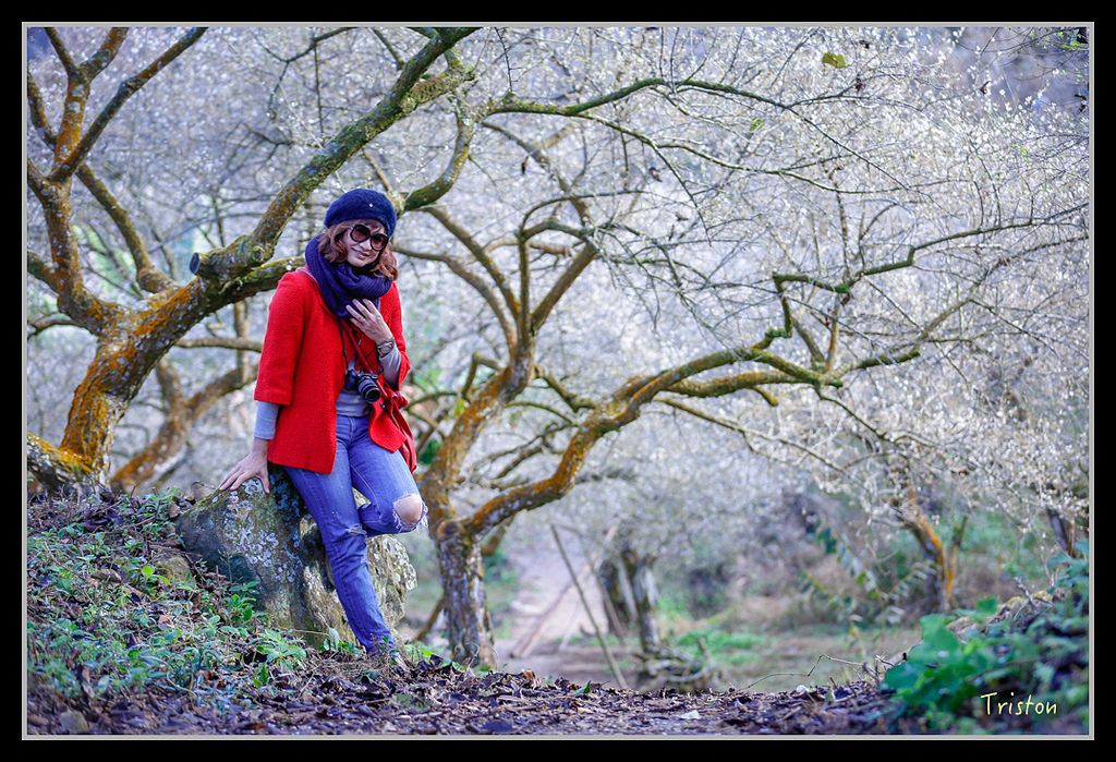 _H1A1427.jpg - 20170117 烏松崙、竹青庭