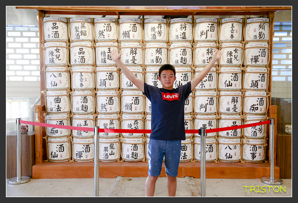 _H1A6516.jpg - 20170901 戀戀台九線