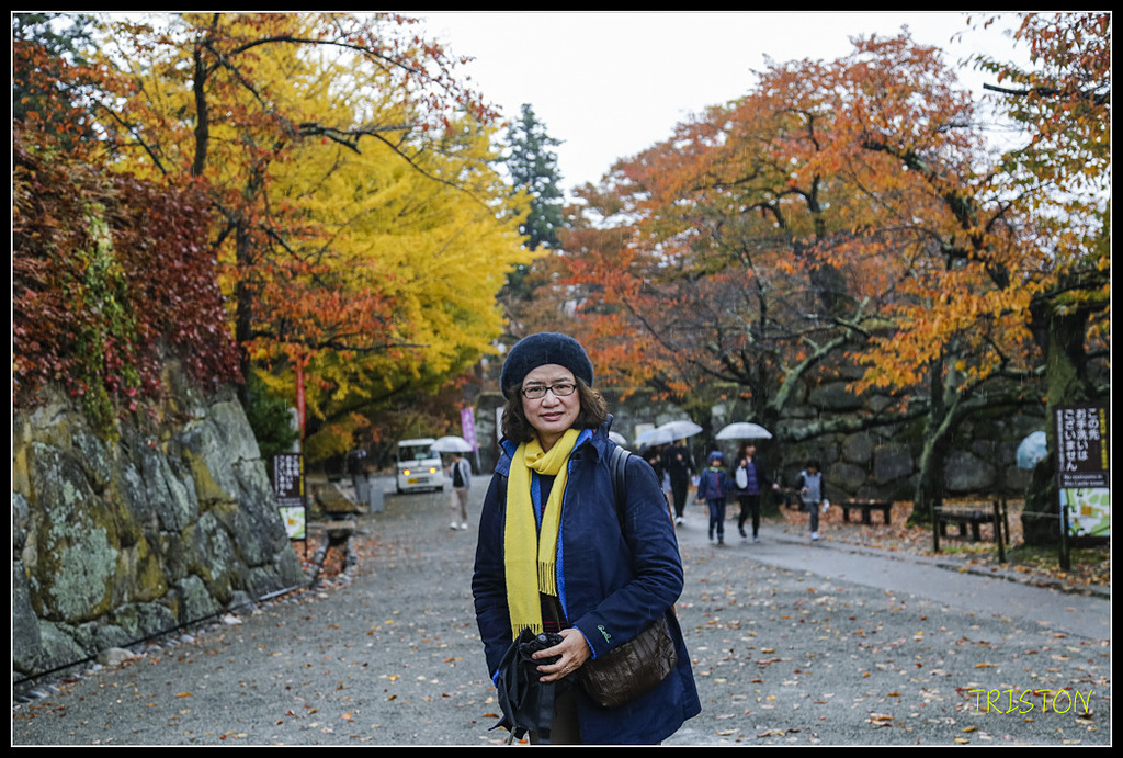 _H1A0888.jpg - 20171103 日本只見線、會津若松五色沼、昭和記念公園賞紅葉