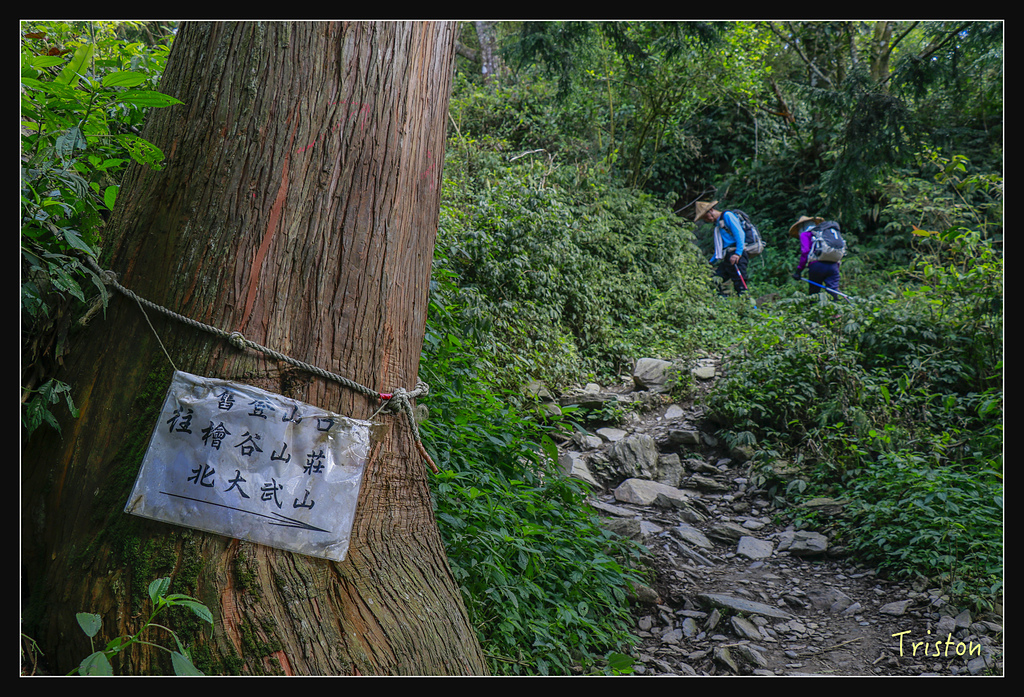 _MG_1019.jpg - 20180127 日湯真山