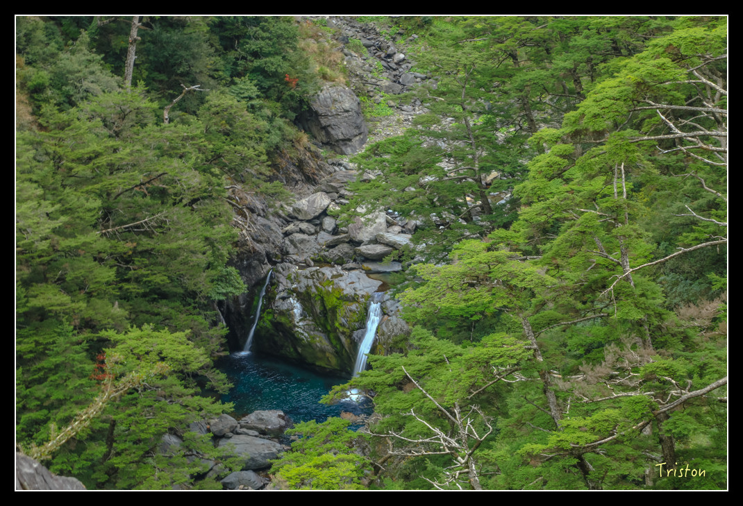 JH1A0747.jpg - 20151205 合歡溪步道、108K楓之谷