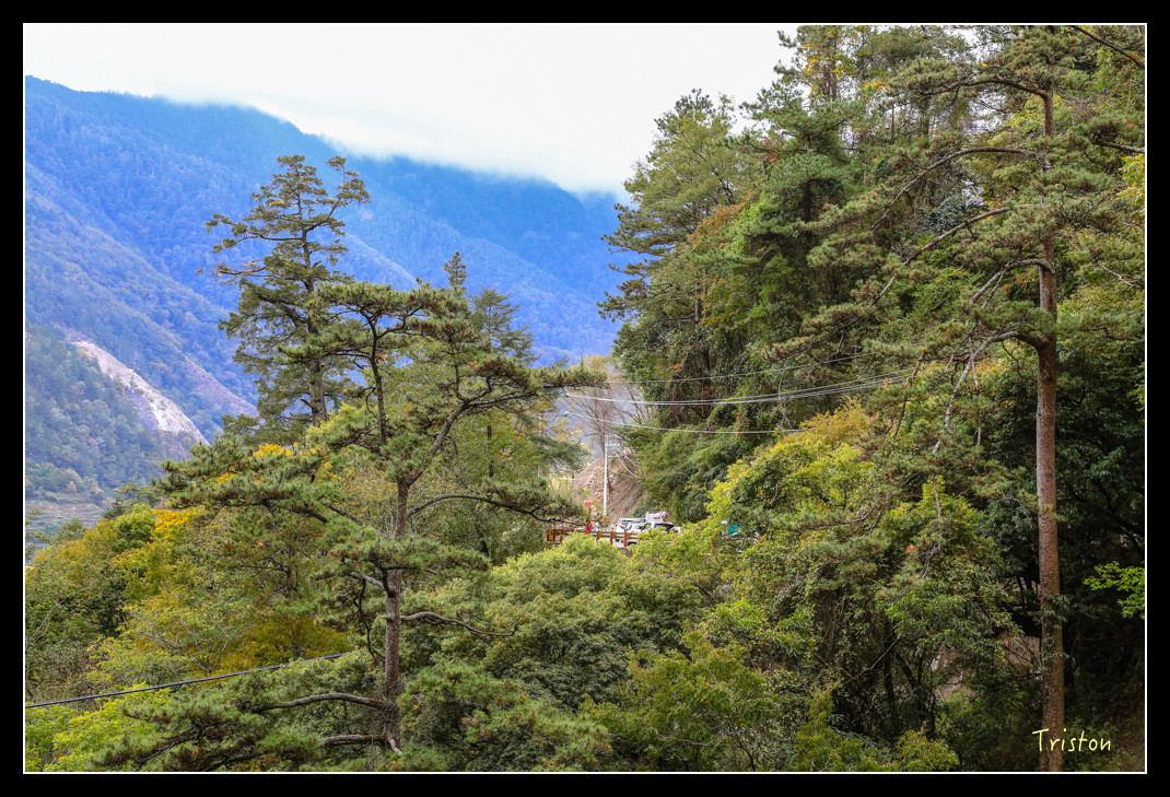 JH1A1001.jpg - 20151205 合歡溪步道、108K楓之谷