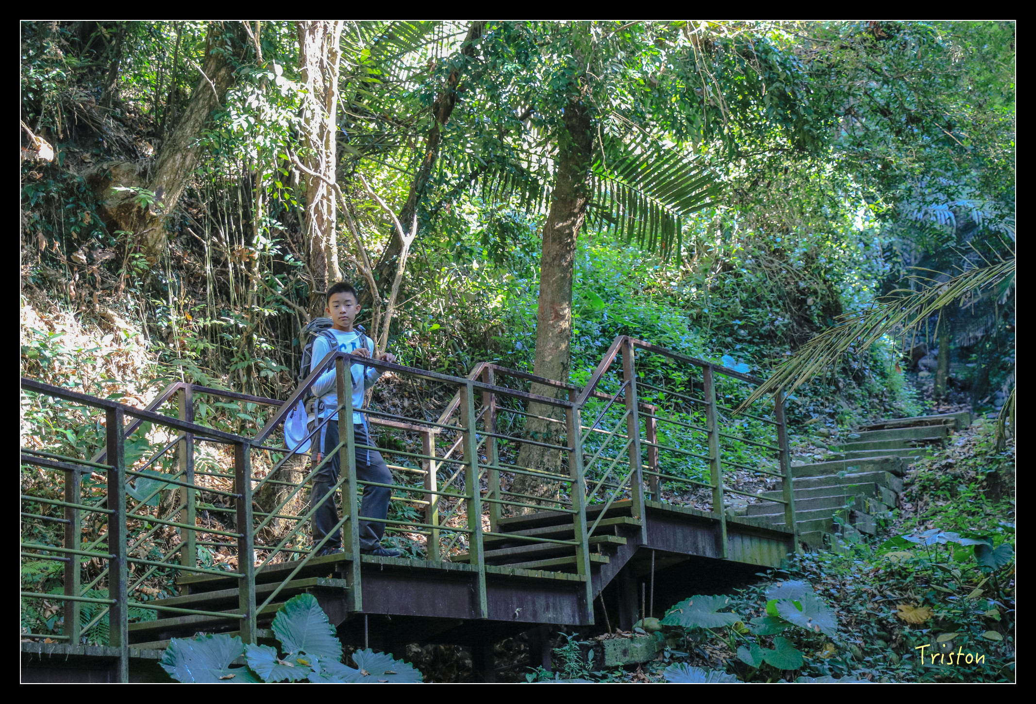 IMG_0348.jpg - 20151214 林內龍過脈步道