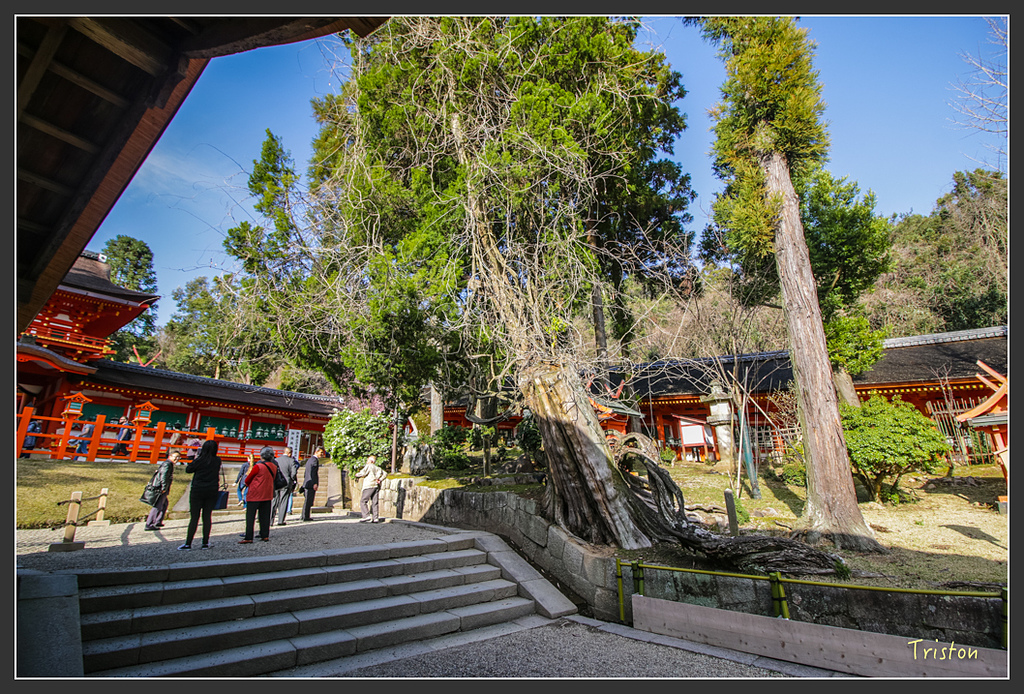 IMG_4078.jpg - 20160323 日本熊野古道健行