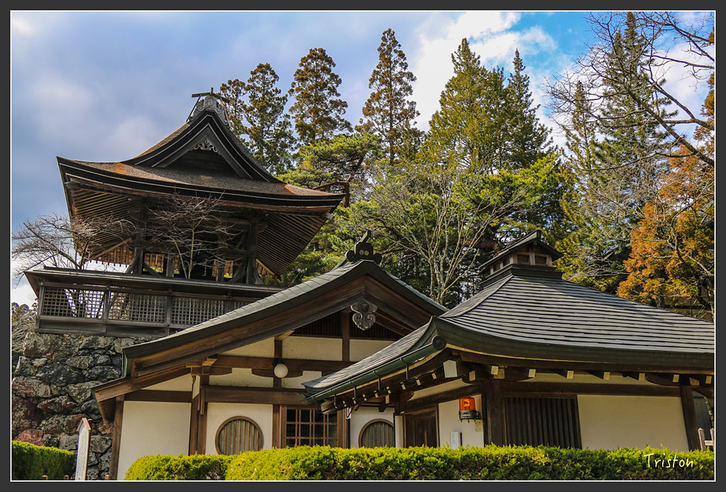 IMG_4528.jpg - 20160323 日本熊野古道健行