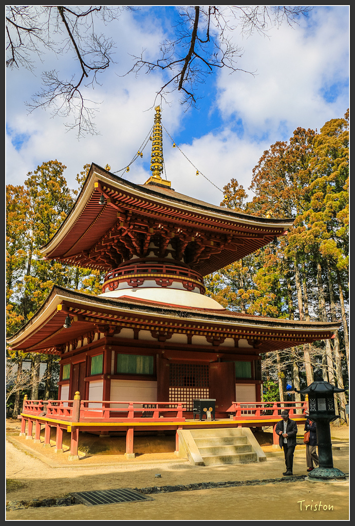 IMG_4536.jpg - 20160323 日本熊野古道健行