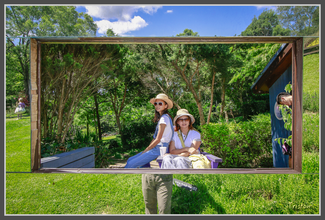 _MG_8879.jpg - 20160712 苗栗薰衣草森林