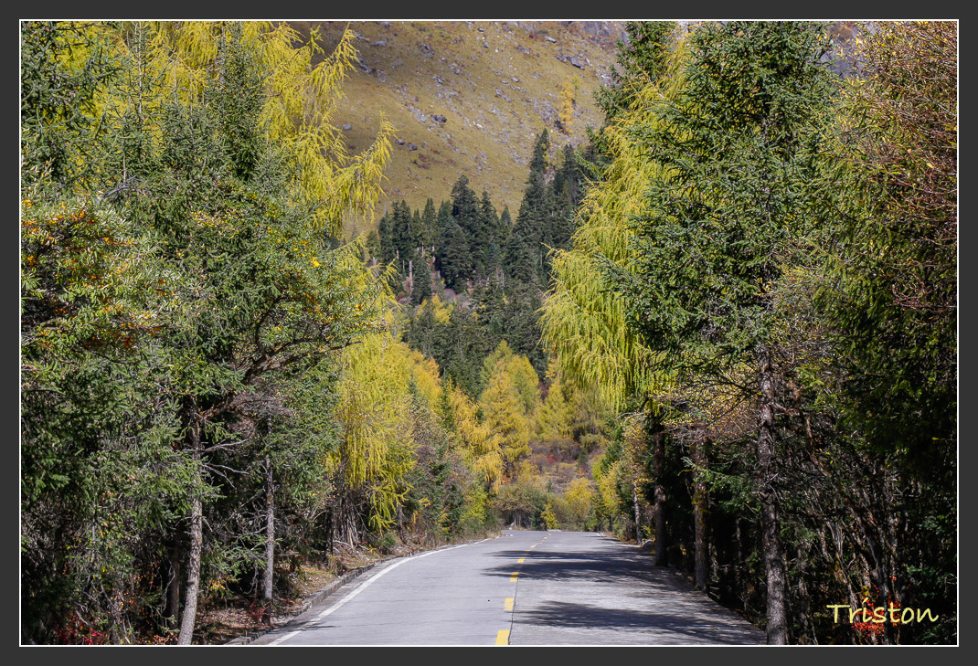 _MG_0596.jpg - 20161013 稻城亞丁