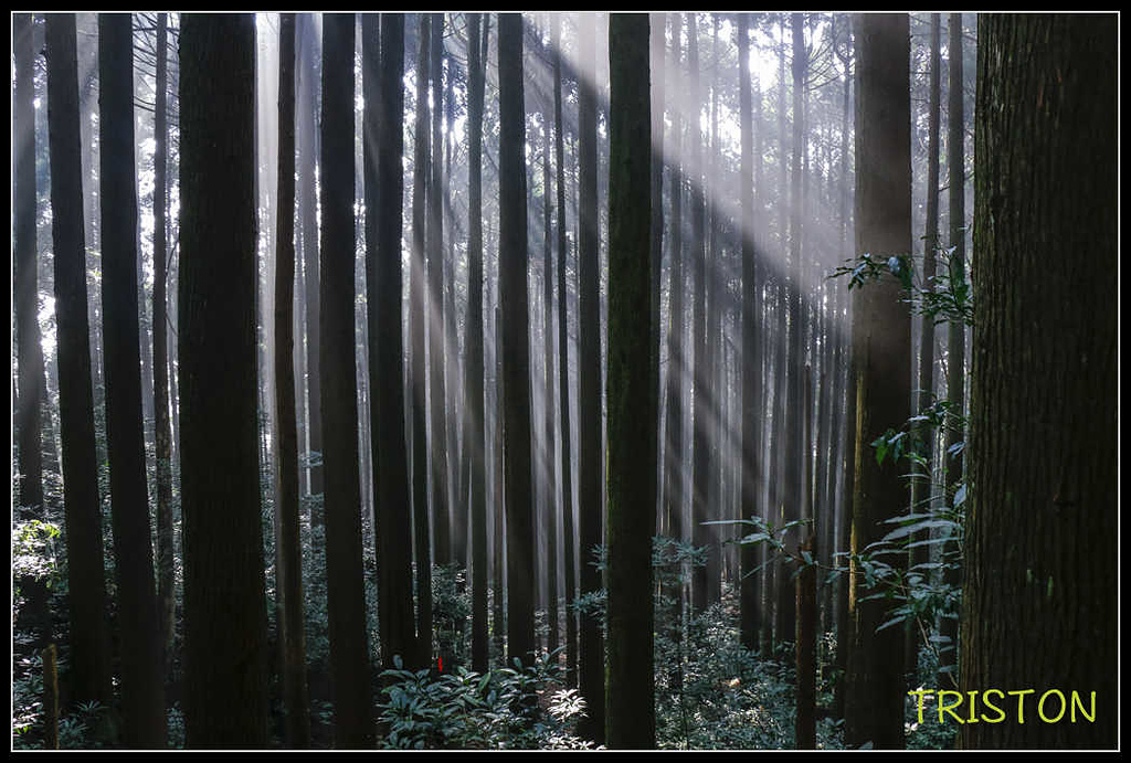 _MG_0209.jpg - 20170920 加里山