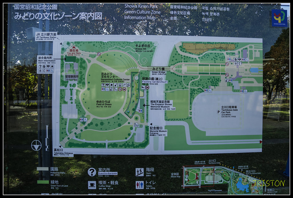 _H1A1536.jpg - 20171103 日本只見線、會津若松五色沼、昭和記念公園賞紅葉