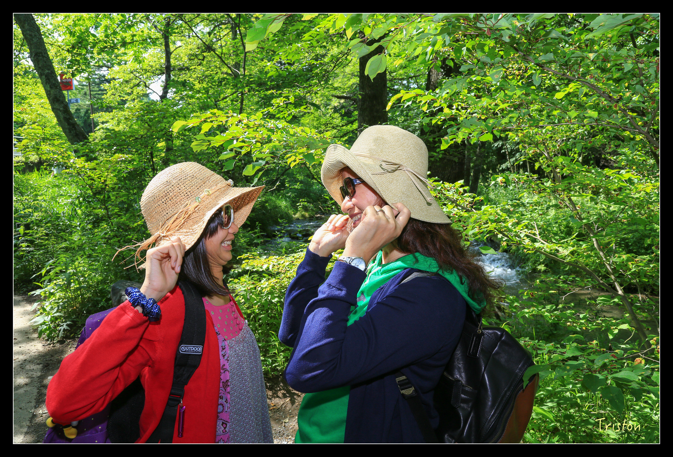 JH1A9136.jpg - 20150628 東京輕井澤日光