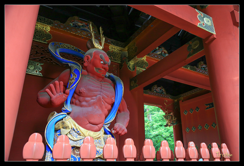 JH1A9999.jpg - 20150628 東京輕井澤日光