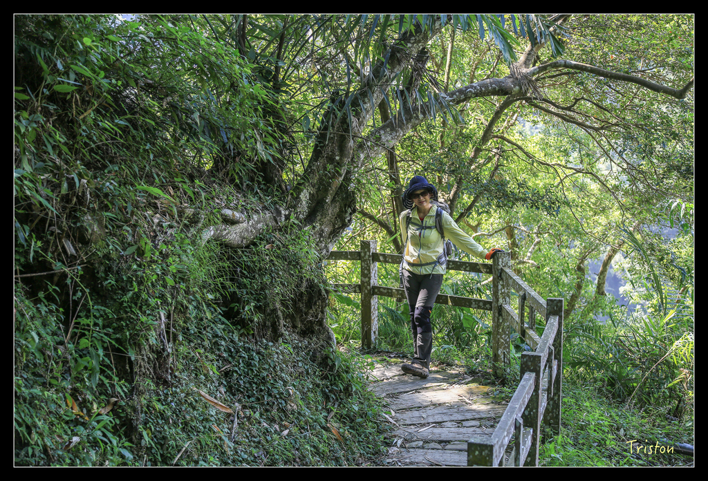 JH1A9845.jpg - 20151005 竹坑溪步道