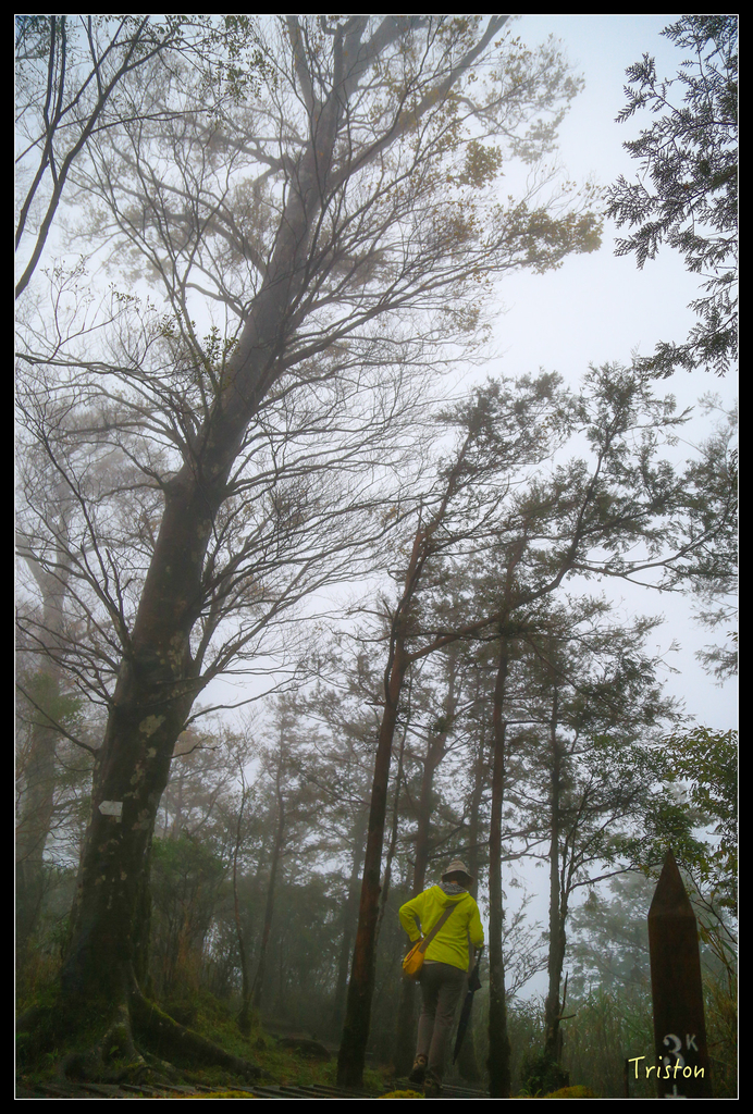 JH1A0178.jpg - 20151024~25 幾米公園、翠峰湖、翠峰山屋、望洋山步道、山毛櫸步道