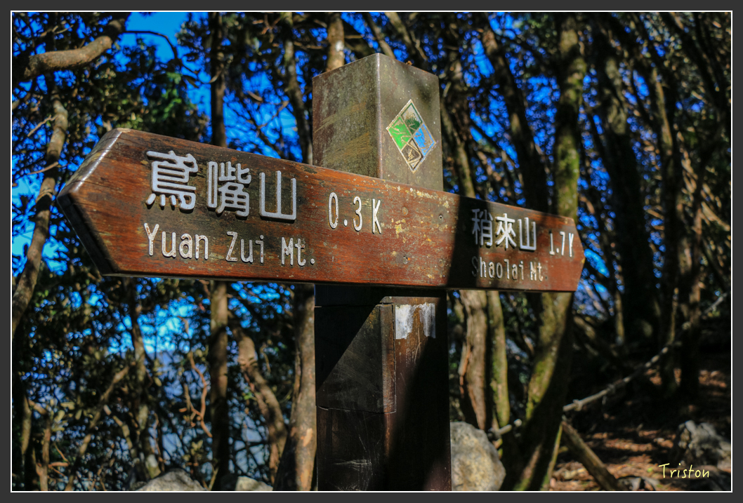 IMG_0579.jpg - 20151219 鳶嘴稍來山、小雪山林道