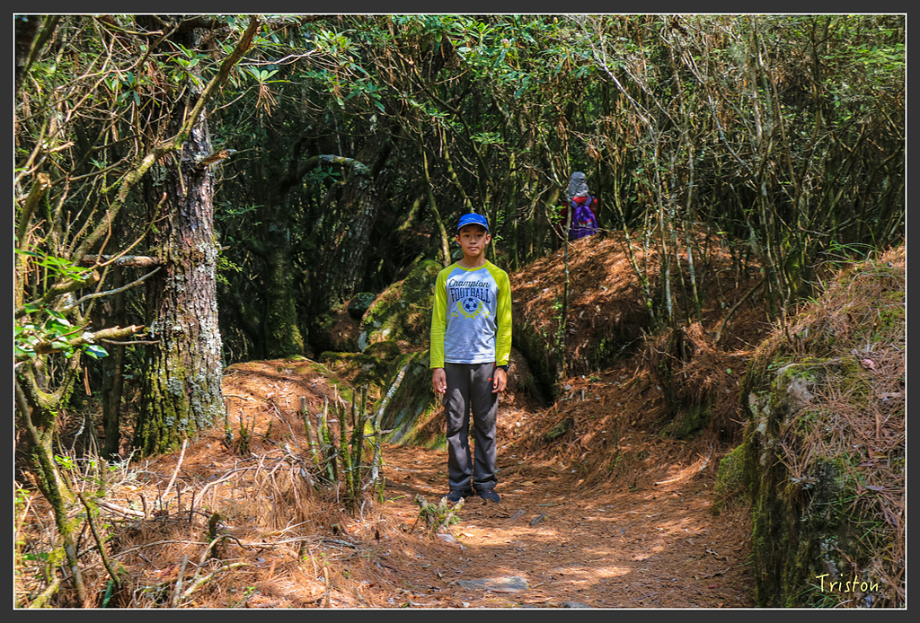 IMG_6226.jpg - 20160402 鹿林麟趾東埔山