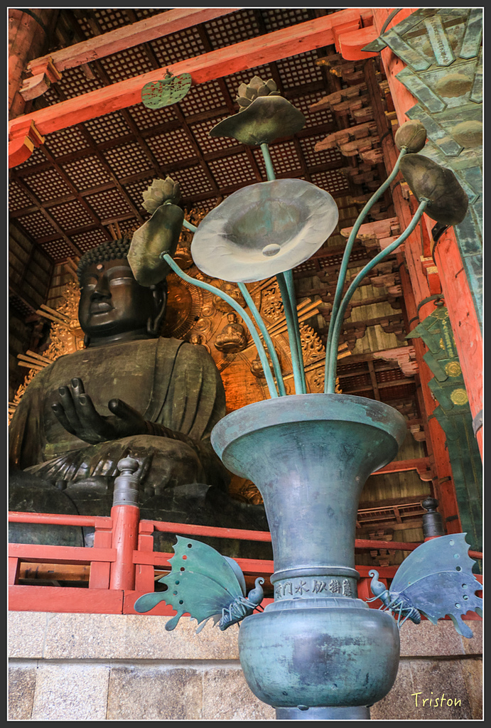 IMG_4387.jpg - 20160323 日本熊野古道健行